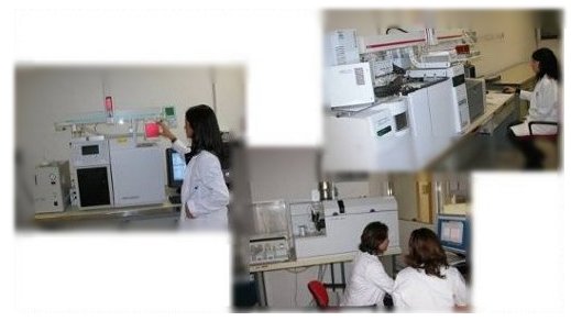 laboratorio