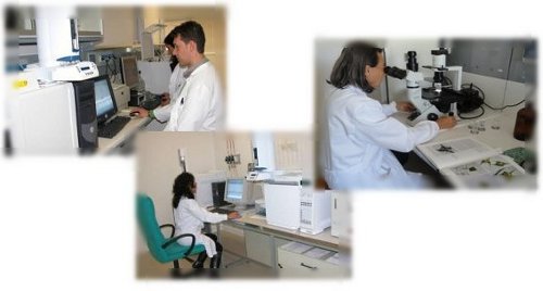 laboratorio