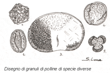 granuli di specie diverse