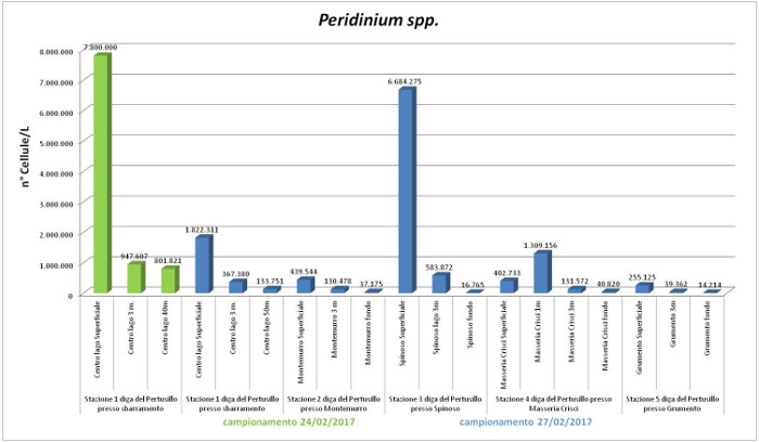 grafico fitoplancton 1